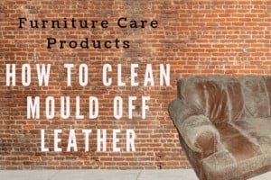 Furniture Care Products How to clean mould of leather | Furniture Care Products