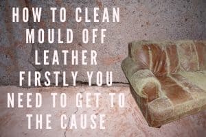 How to clean mould of leather | Furniture Care Products