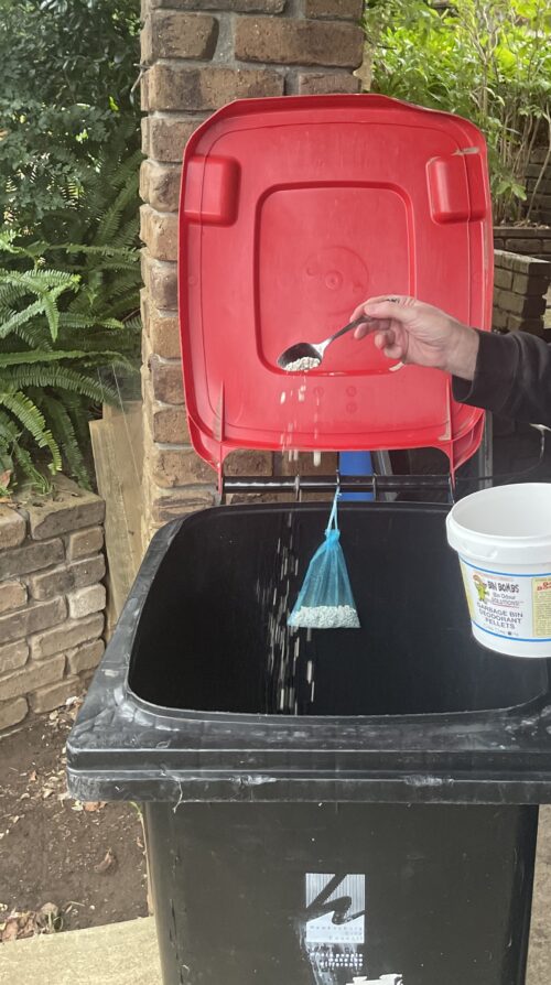 Sprinkling Bin Bombs into empty rubbish bin to keep it smelling fresh